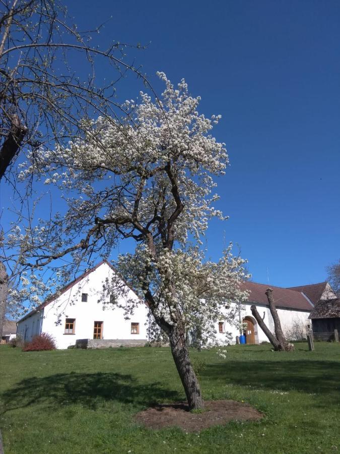 Apartment Spejchar